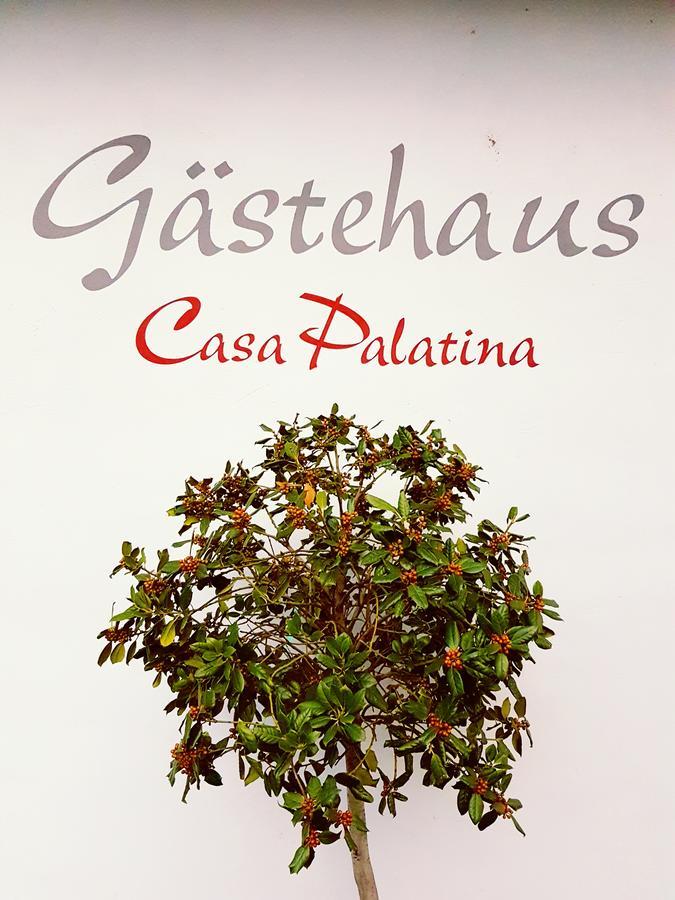 Casa Palatina Panzió Grosskarlbach Kültér fotó